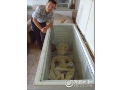 山东人遇飞碟电死外星人 尸体藏家(组图)